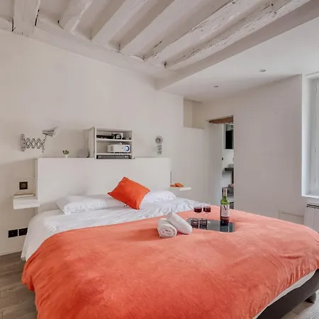아파트 Large And Modern 1brd Flat At Lovely Saint Germain 파리