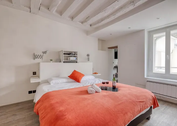 公寓 Large And Modern 1brd Flat At Lovely Saint Germain 巴黎