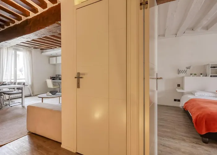 Large And Modern 1brd Flat At Lovely Saint Germain 公寓 巴黎